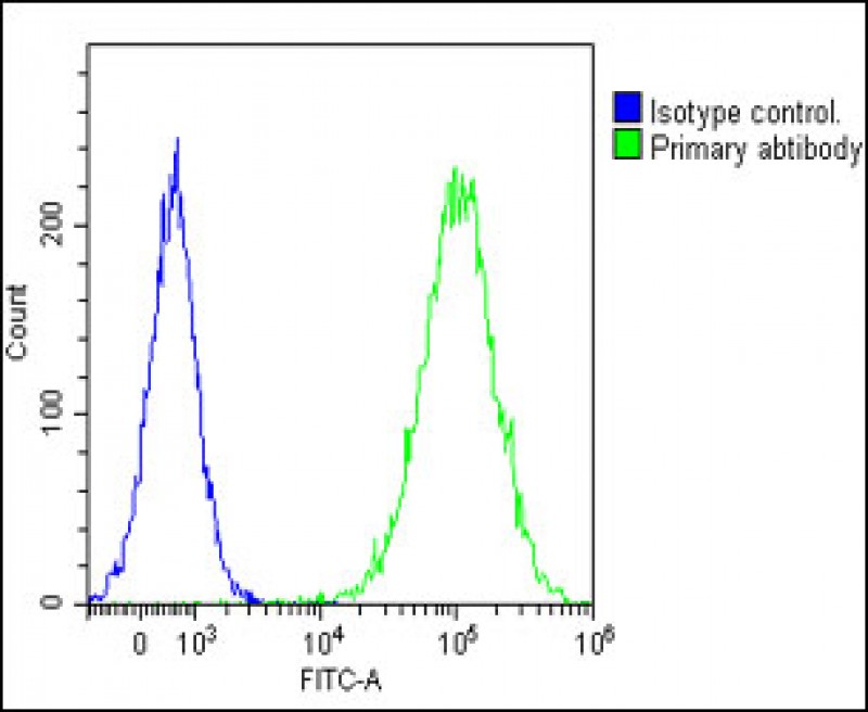 Rabbit Polyclonal Antibody to ADA