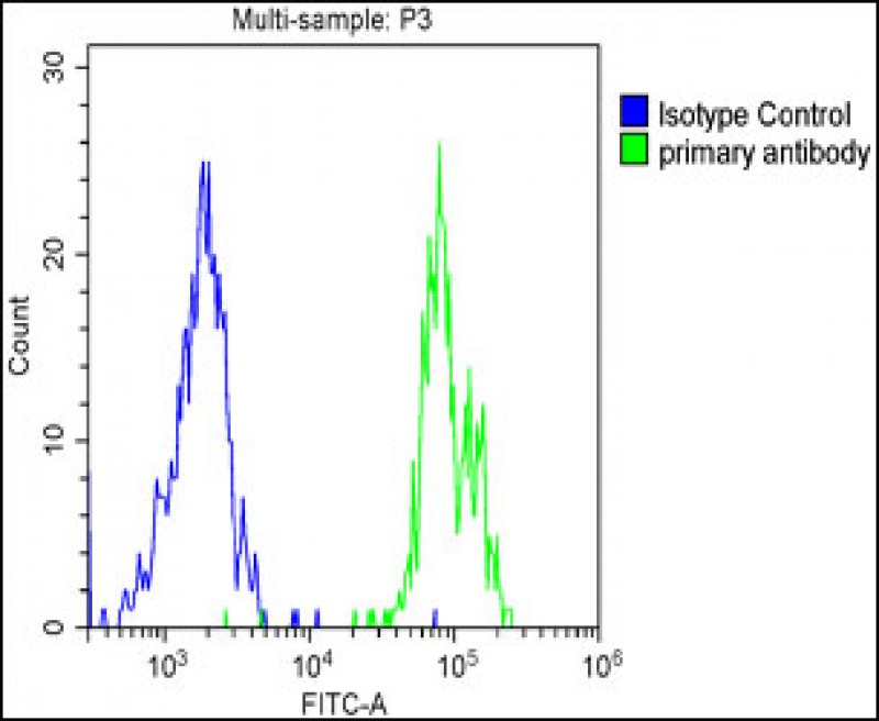 Rabbit Polyclonal Antibody to SPNS2 (N-term)