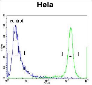 Rabbit Polyclonal Antibody to DRG1