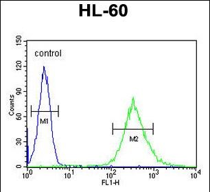 Rabbit Polyclonal Antibody to ENASE