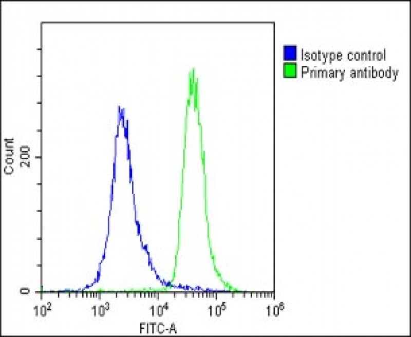 Rabbit Polyclonal Antibody to METTL4