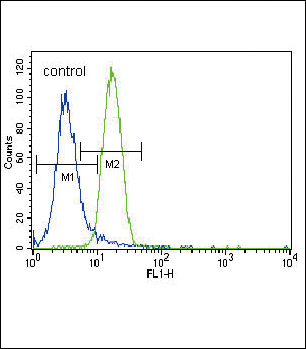 Rabbit Polyclonal Antibody to Parkin