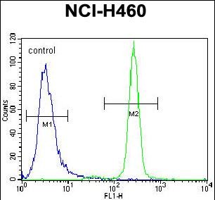 Rabbit Polyclonal Antibody to IL6