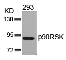 p90RSK(Ab-352)