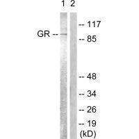 GR (Ab-226)