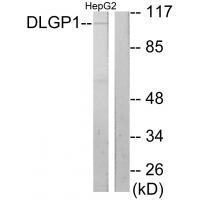 DLGP1