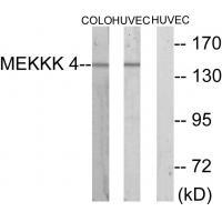 MEKKK 4