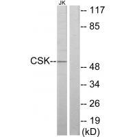 CSK