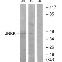 JNKK
