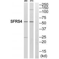 SFRS4