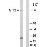GIT2