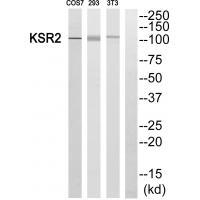 KSR2