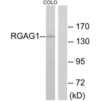 RGAG1