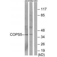 COPS5
