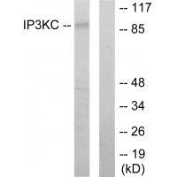IP3KC