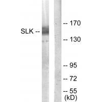 SLK