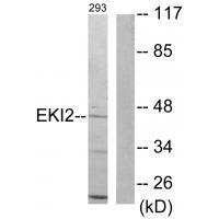 EKI2