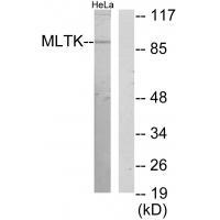 MLTK