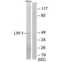 LW-1