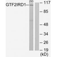 GTF2IRD1