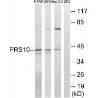 PSMC6