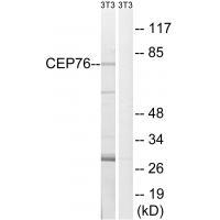 CEP76