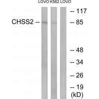 CHSS2
