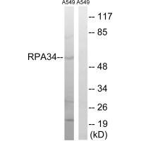 CD3EAP