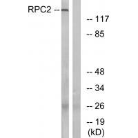 RPC2