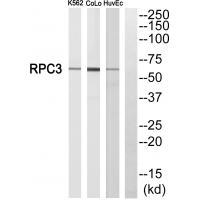 RPC3