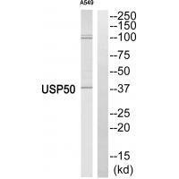 USP5