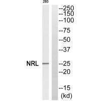 NRL