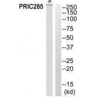 PRIC285
