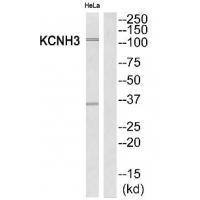 KCNH3