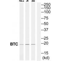 BTC