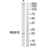 RGS1