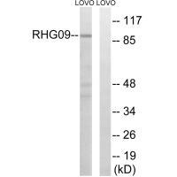RHG9