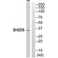 SH2D5