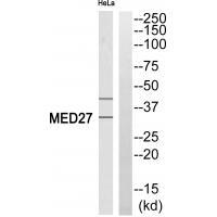 MED27
