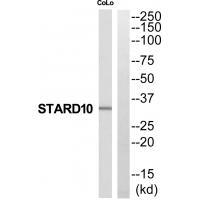 STARD1