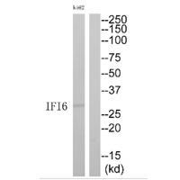IFI6