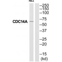 CC14A