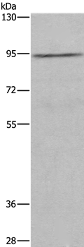 MUC15
