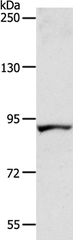 ACAD11
