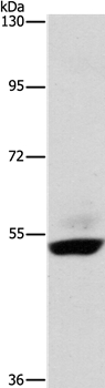 STK4