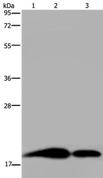 REG3G