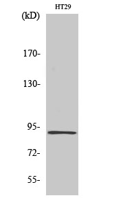 InsP 3-kinase C