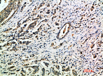 Integrin α1