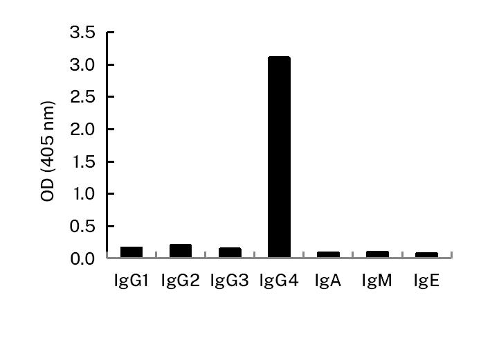 Mouse Monoclonal Antibody to Human IgG4_Human IgG4-远泰生物抗体定制