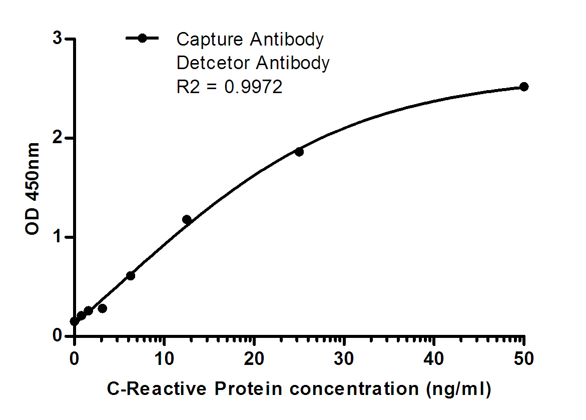 C Reactive Protein